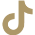 TikTok Ads Services
